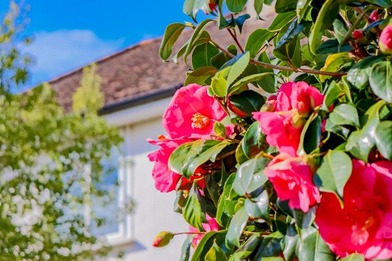 Causey Lodge Superb Comfy Home In Exeter By Staystay Buitenkant foto